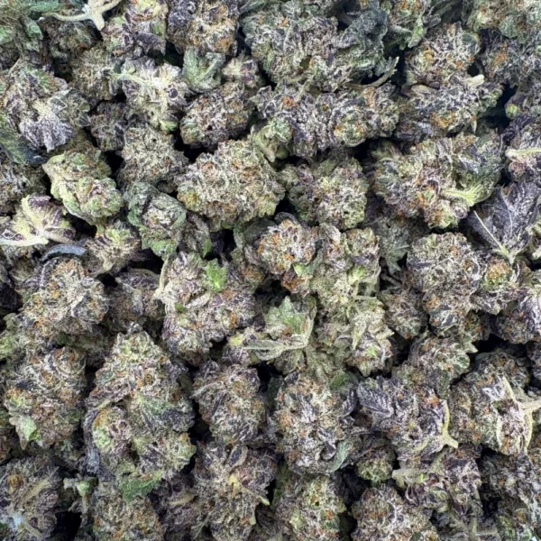 Pure Michigan Popcorn Bulk