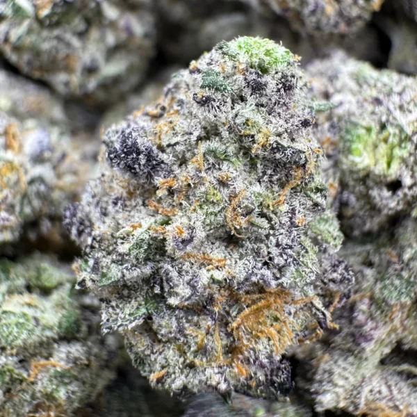 Blueberry Candy Popcorn Macro