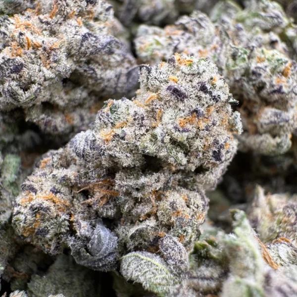 Candy Latte F2 Popcorn Macro