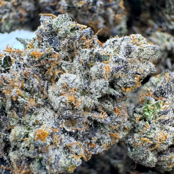 East Van Rockstar Macro