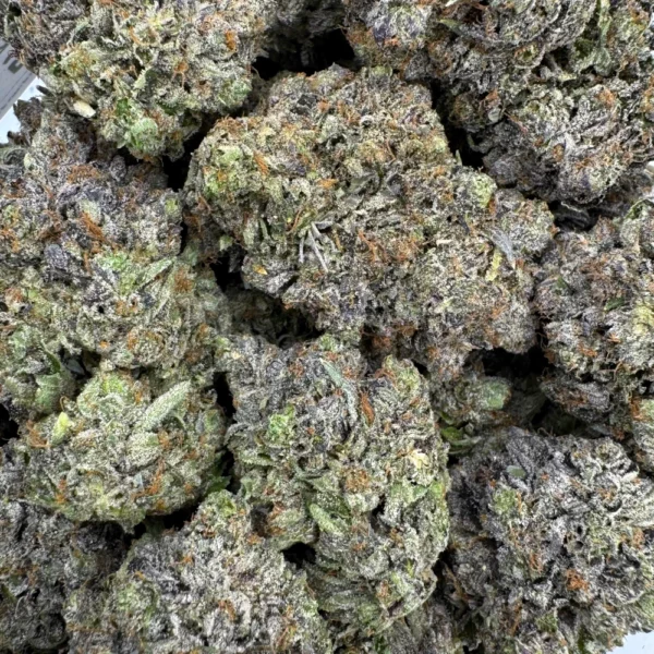 Gas Daddy Bulk