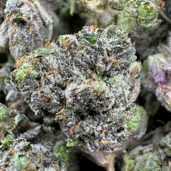 LSO Astro Pink Popcorn Macro
