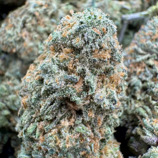 Mango Haze Macro