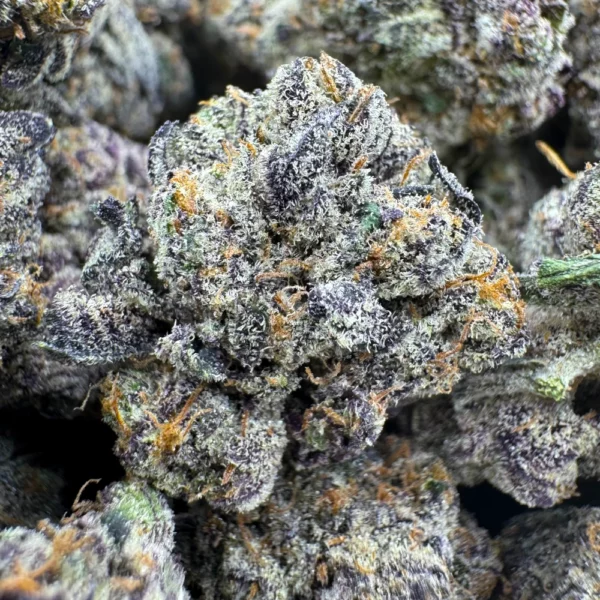 Raspberry Parfait Macro