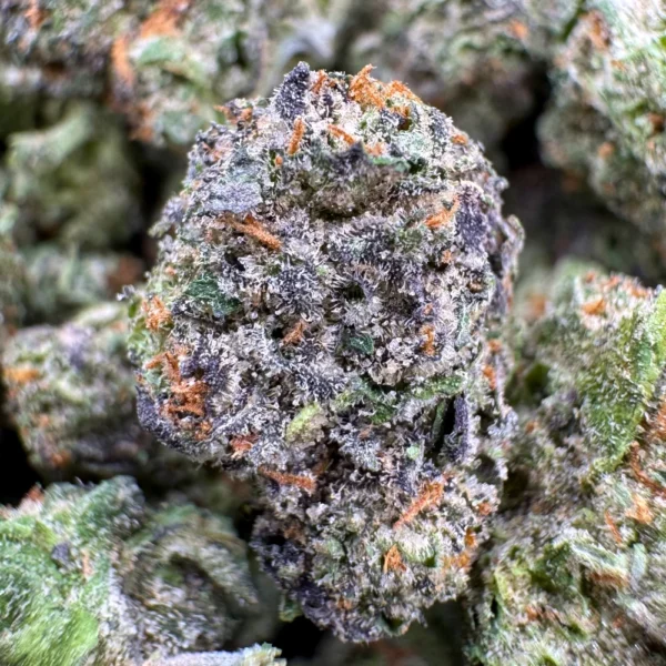 Tropicana Cherry Popcorn Macro