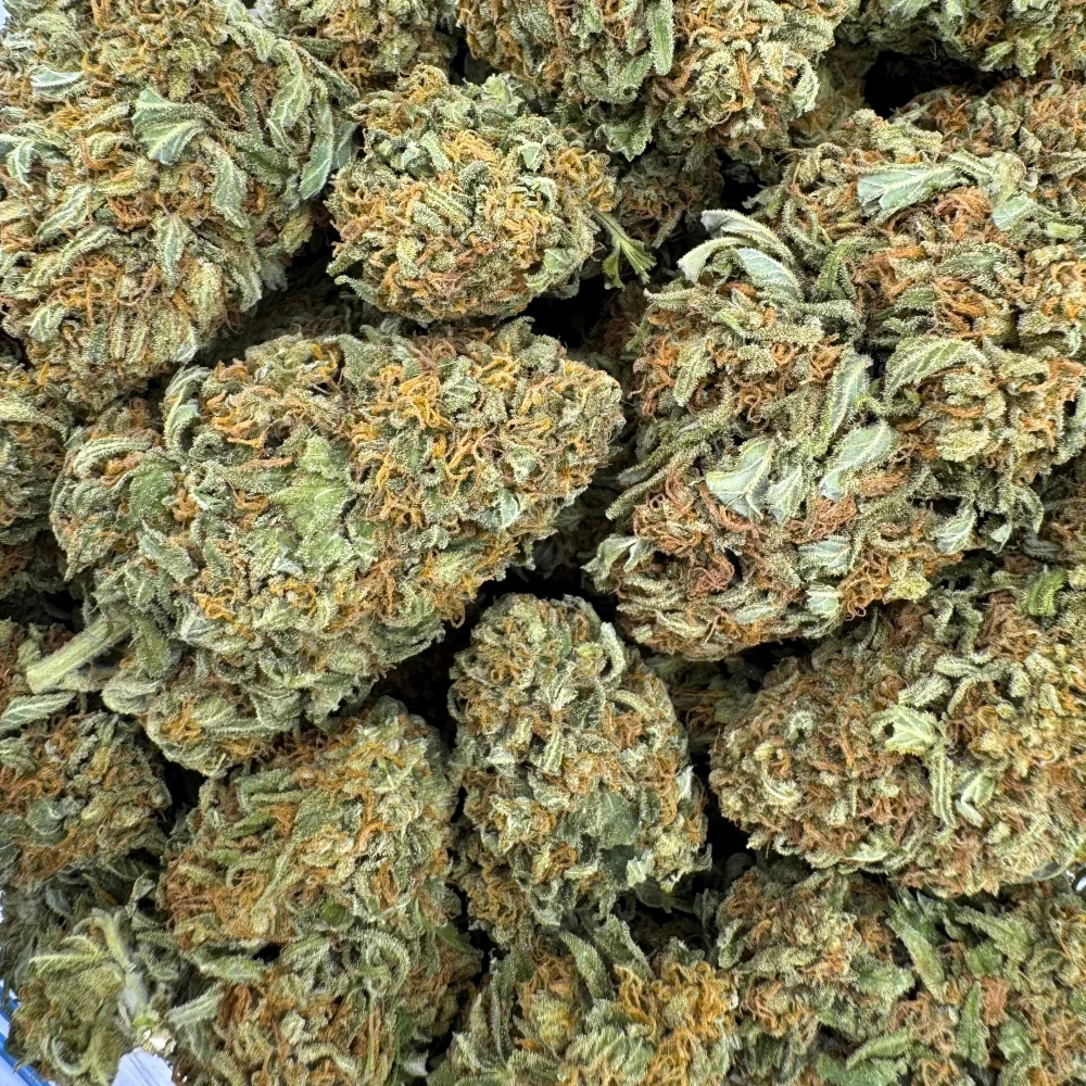 AK-47 (AA+) *BULK*