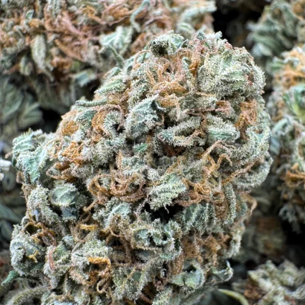 AK47 MACRO