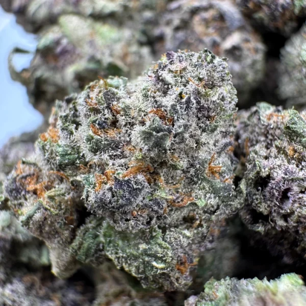 Blueberry Candy Popcorn Macro