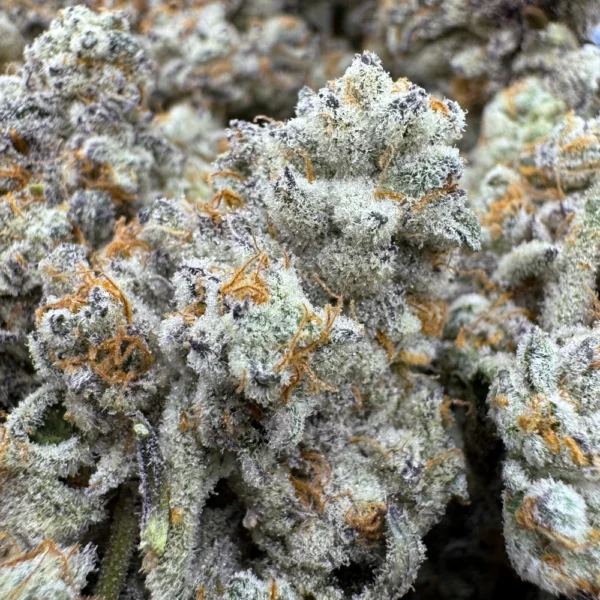 Cake Mints Macro