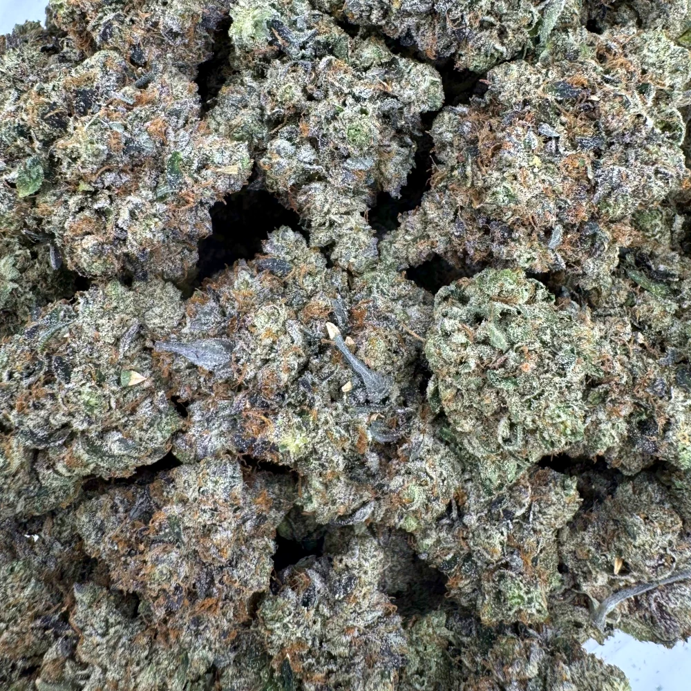 Godfather OG *BULK*