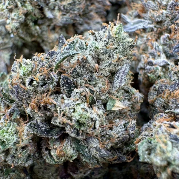 Godfather OG Macro