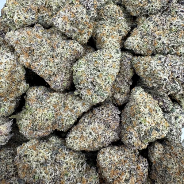 Ice Cream Cake Bulk