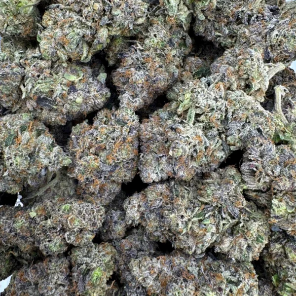 LSO Astro Pink Bulk