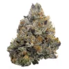 LSO Death Bubba