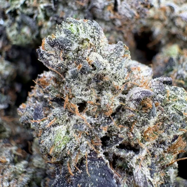 LSO Death Bubba Macro
