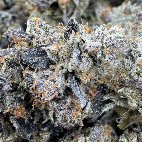 LSO Death Bubba Macro