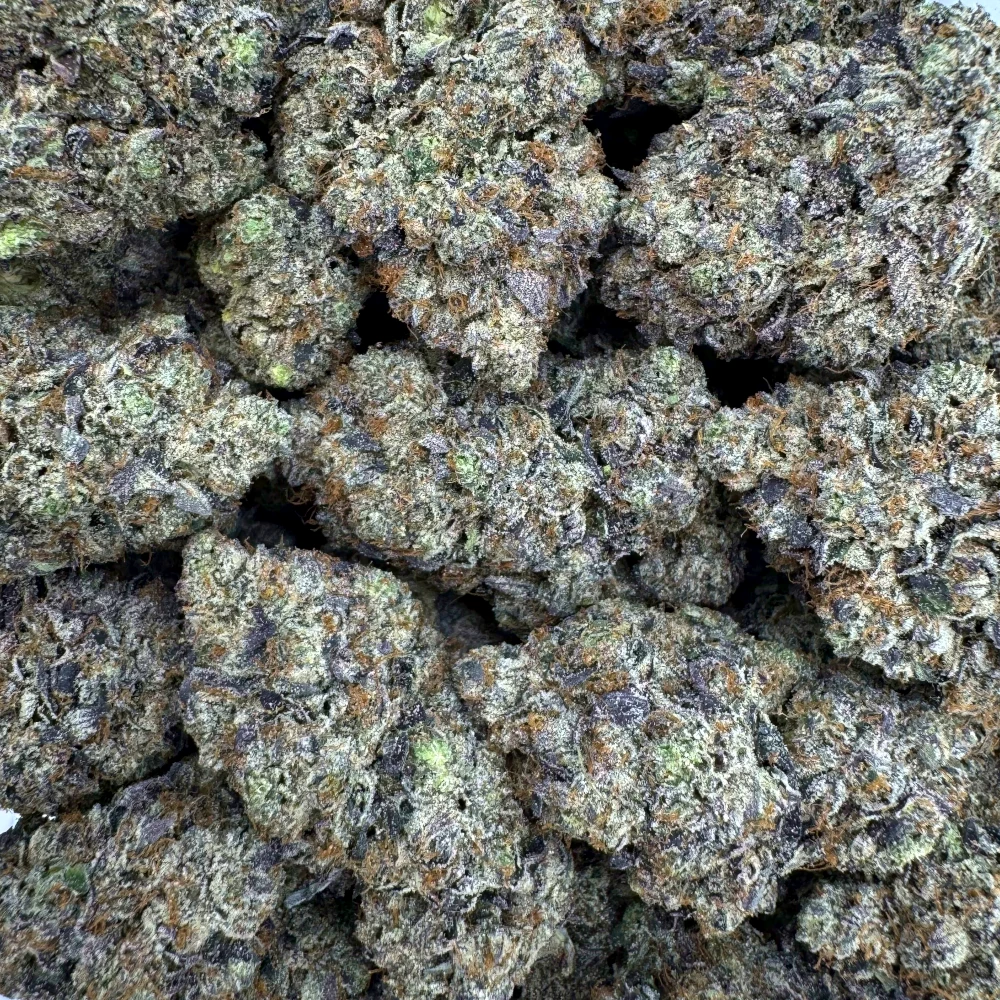 LSO Icky Sticky Pink *BULK*