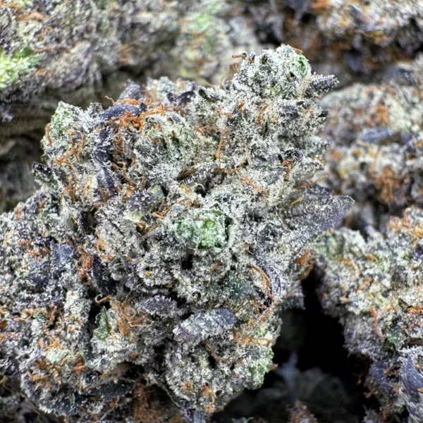 LSO Icky Sticky Pink Macro