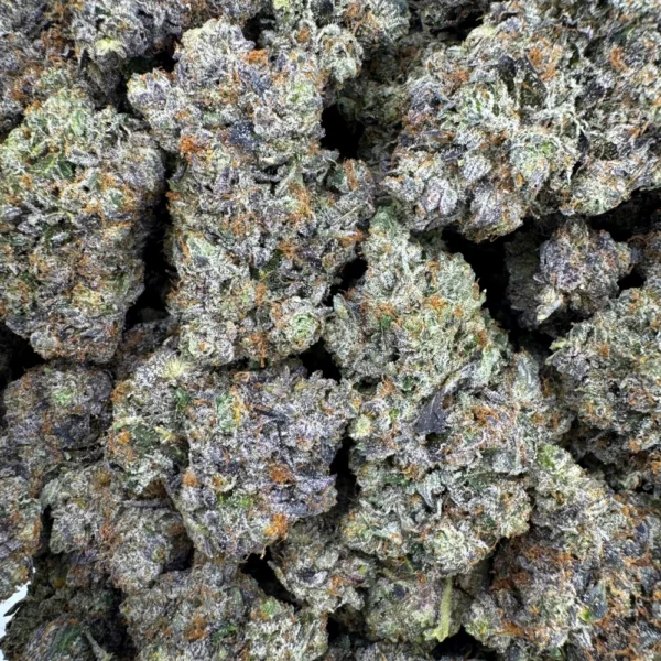 LSO Pink Kush Bulk