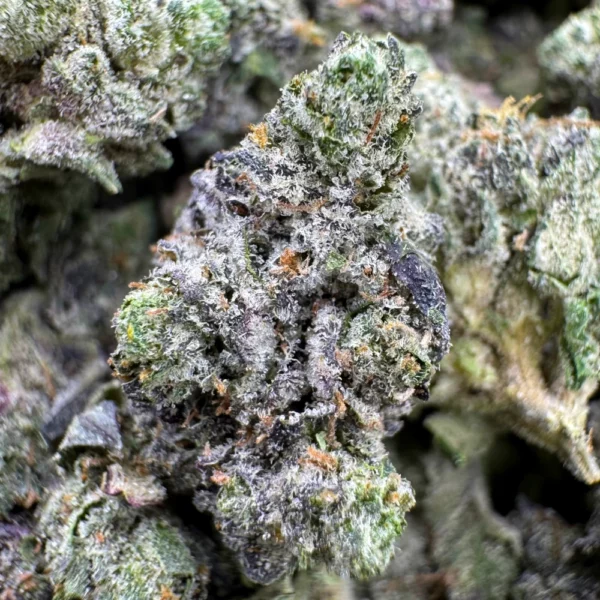 LSO Pink Kush Popcorn Macro