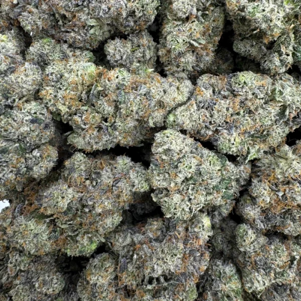 OG Bobby Johnson Bulk