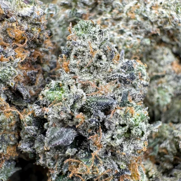 OG Bobby Johnson Macro