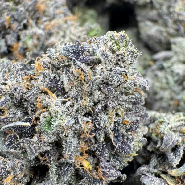 Pink Kush Macro