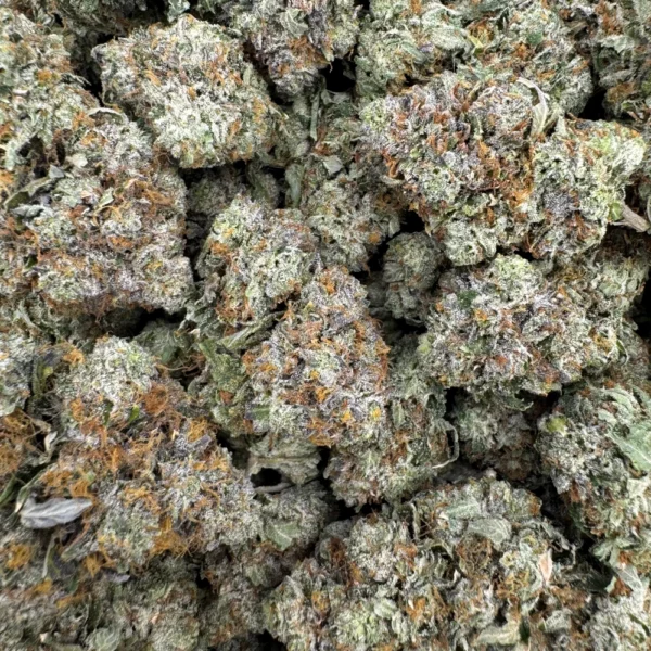 Pink Rockstar Mediums Bulk