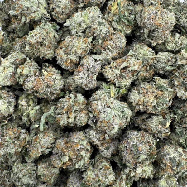 Pink Tuna Popcorn Bulk