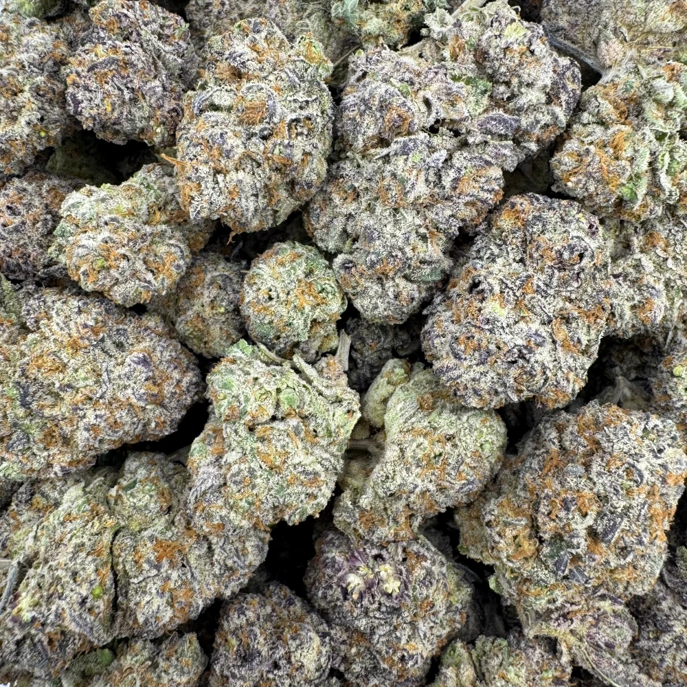 Purple Gelato *BULK*