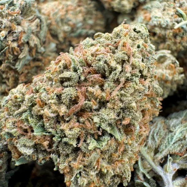 Super Lemon Haze AA Macro