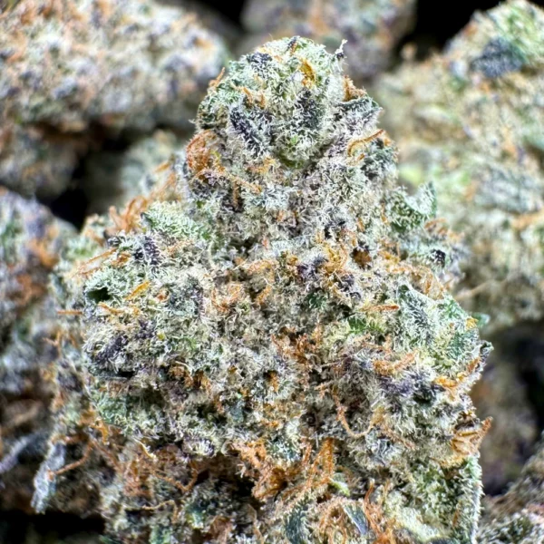 Truly Fruity Macro