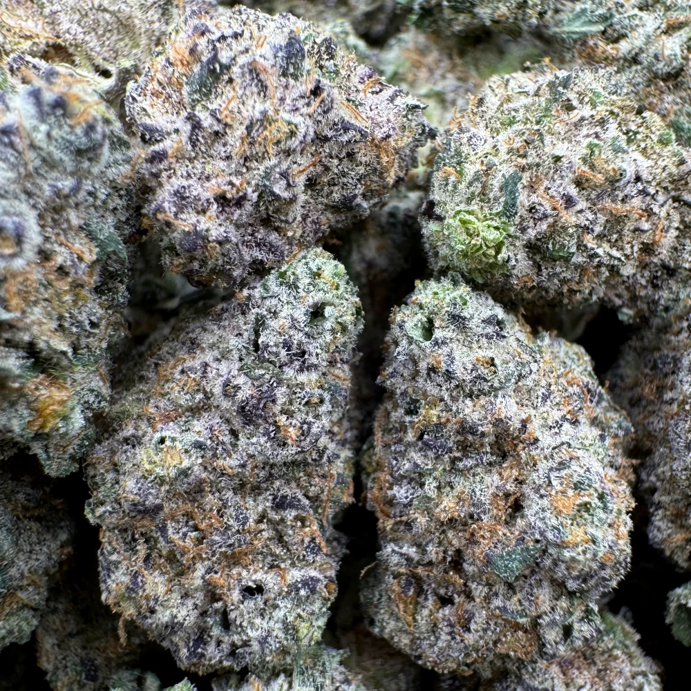 BC Blueberry Popcorn