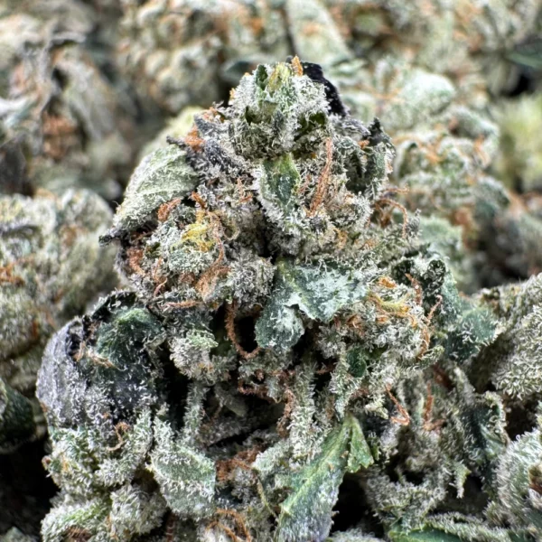 BC Kush Popcorn Macro