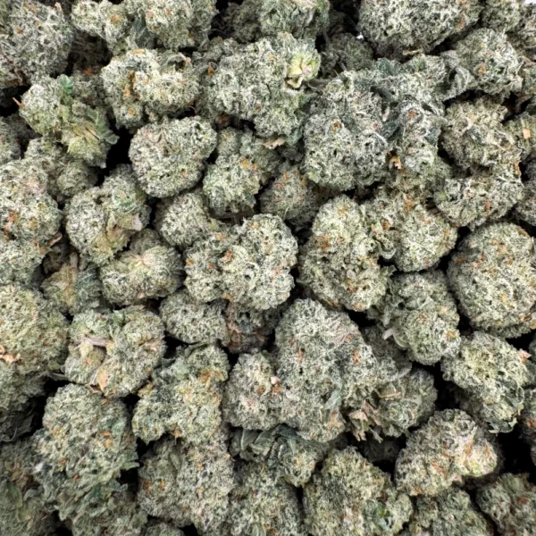 Donkey Butter Popcorn Bulk Donkey Butter Popcorn Bulk