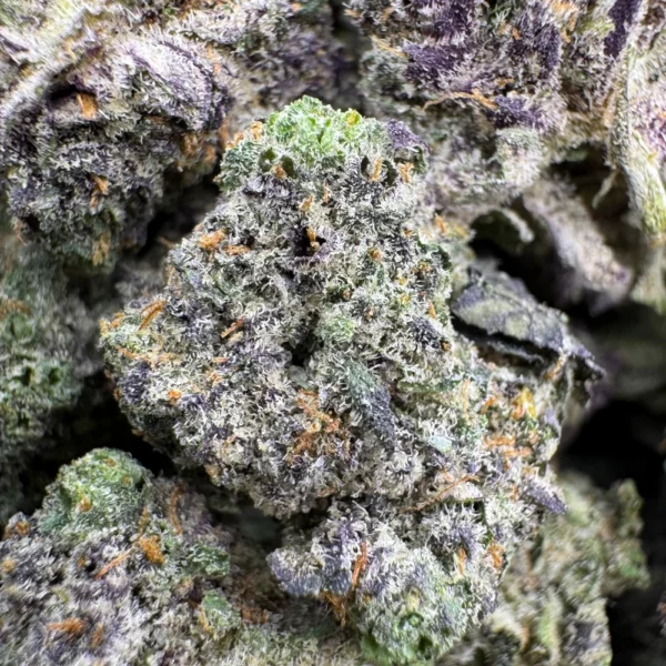 First Class Funk Popcorn Macro