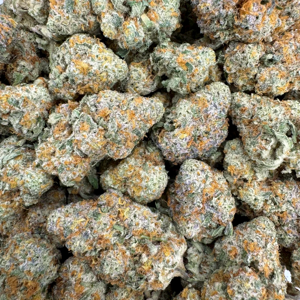 Girl Scout Cookies *BULK*