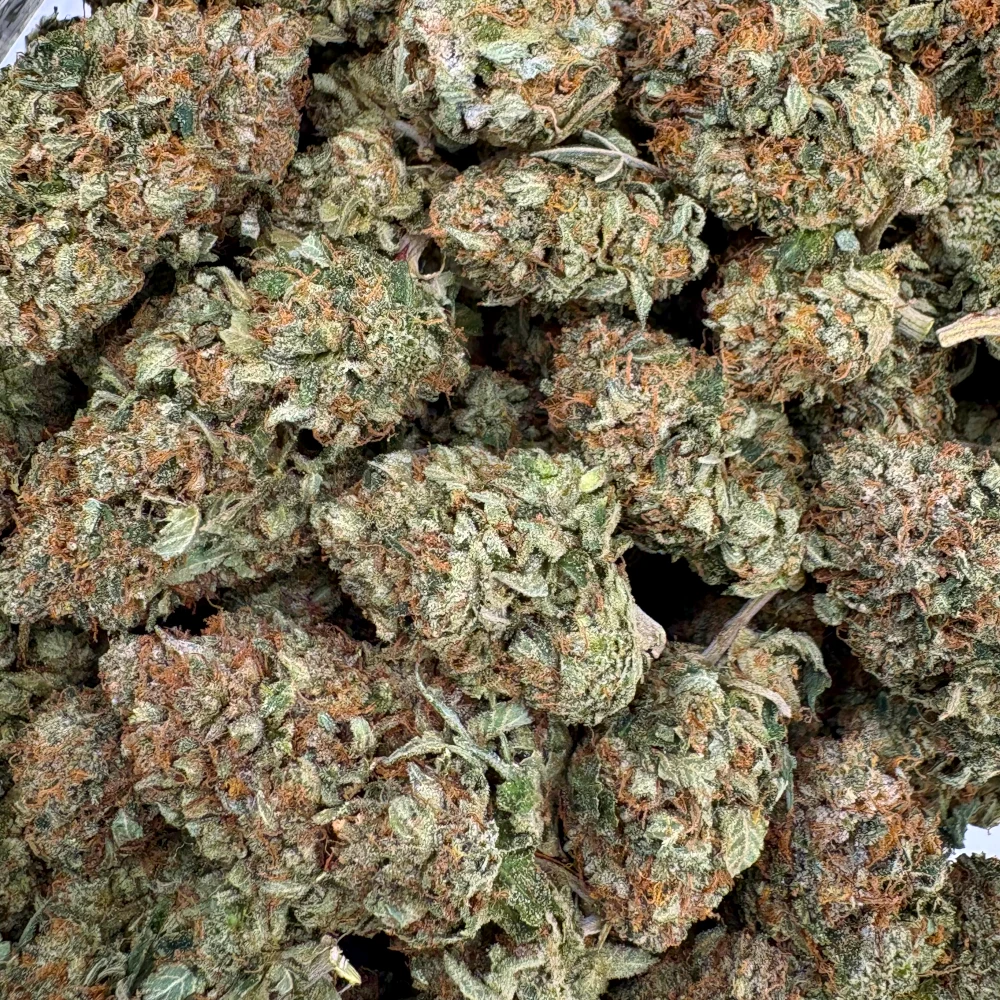 Island Pink Kush *BULK*