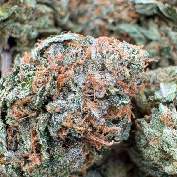 Island Pink Kush Macro