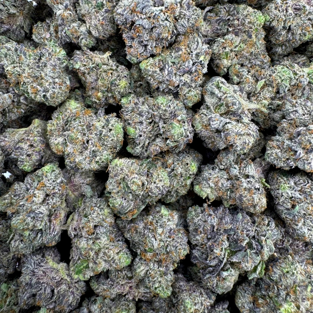 LSO Death Bubba Mediums *BULK*