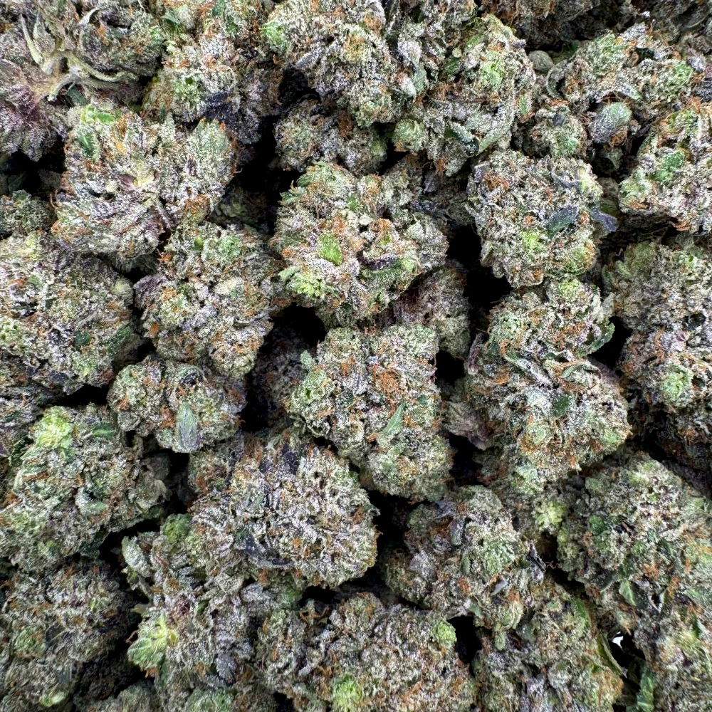 LSO East Van Rockstar Mediums *BULK*
