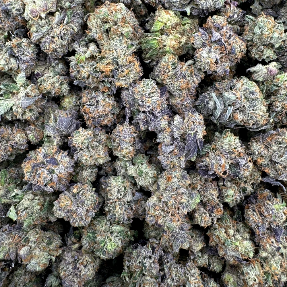LSO Pink Gas Mask Popcorn *BULK*