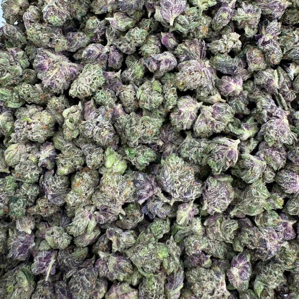 LSO Pinkman Goo Micros *BULK*