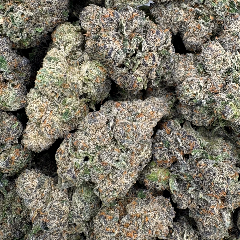 Orange Creamsicle *BULK*