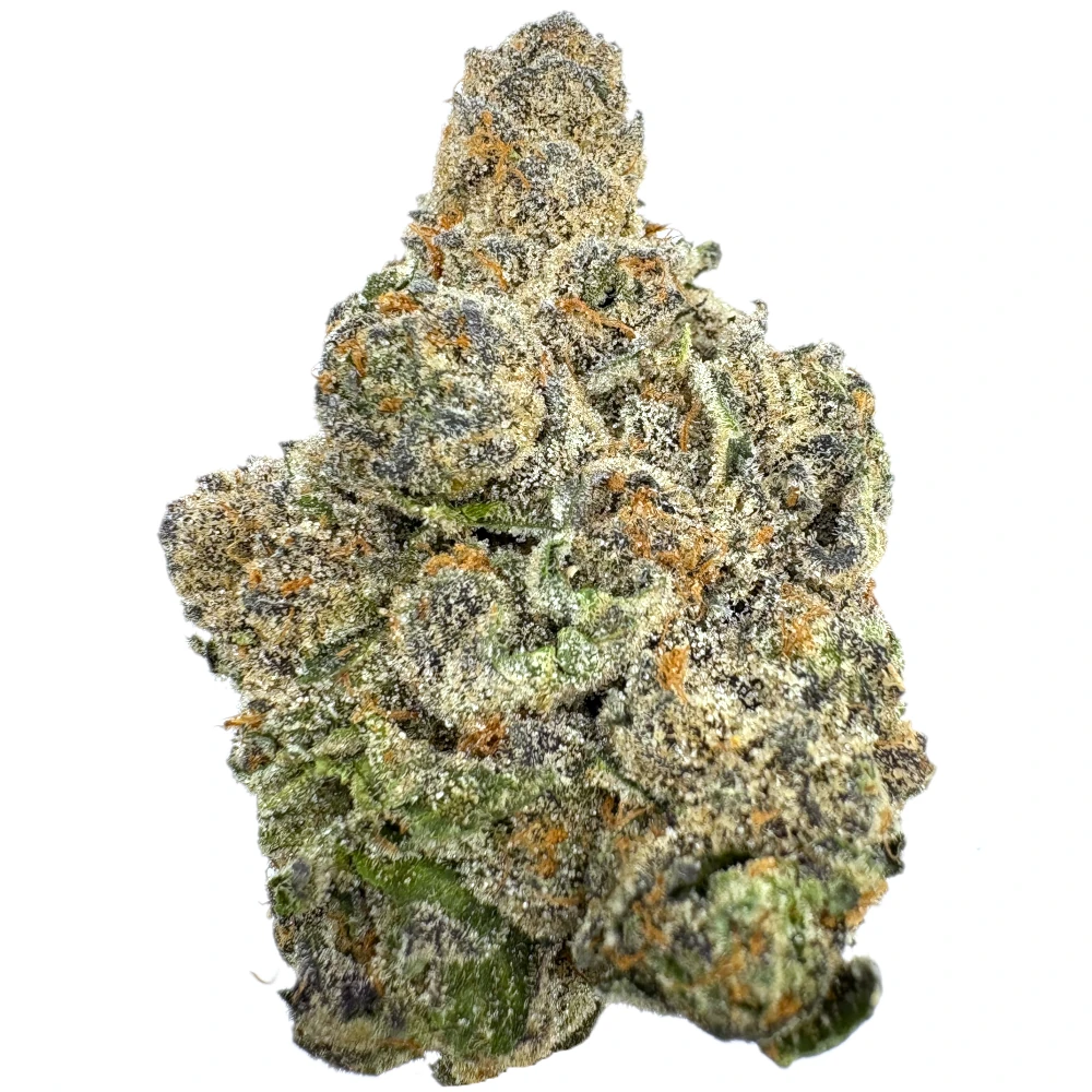 Orange Creamsicle