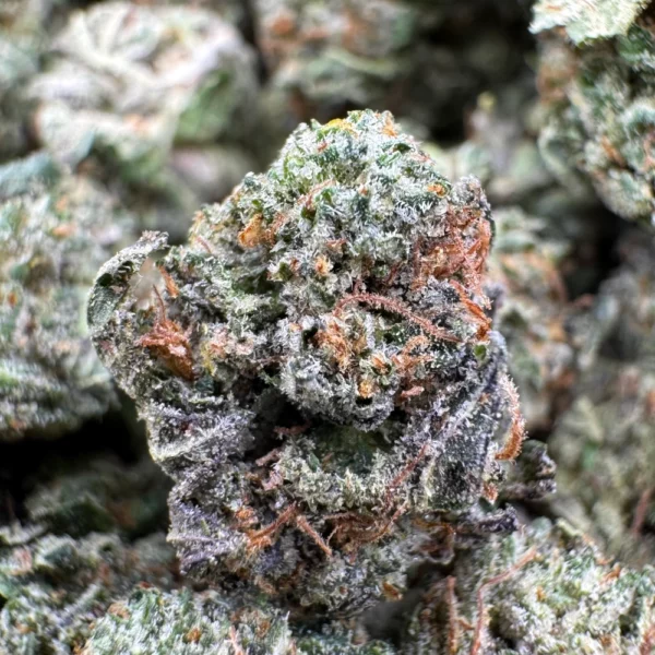 Pink Bubba Popcorn Macro Pink Bubba Popcorn Macro