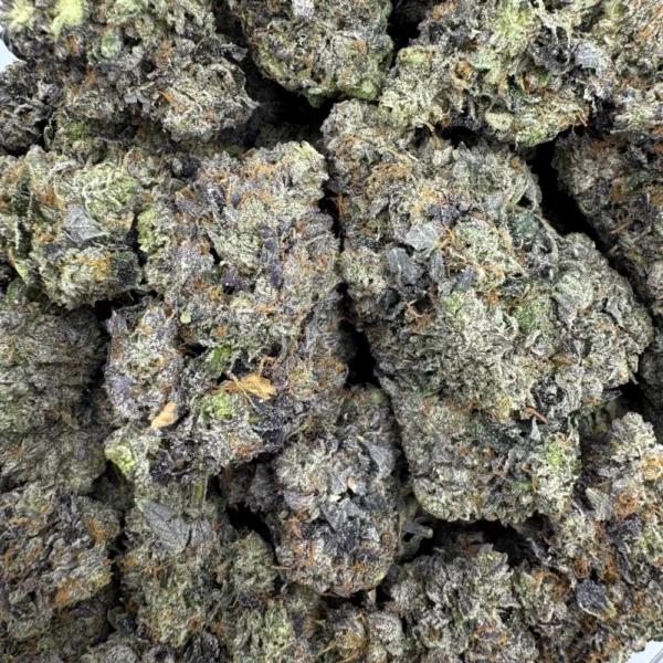 Pink Rockstar Bulk