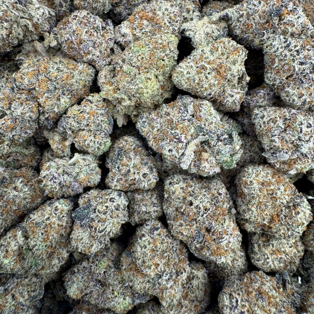 Purple Lotus *BULK*
