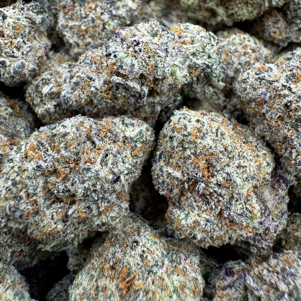 Purple Lotus