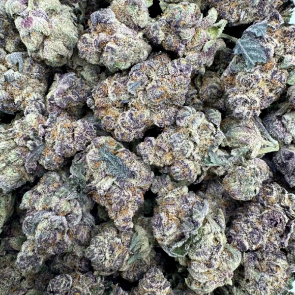 Tropicana Cookies Bulk
